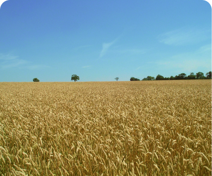 Arable industry lauds OverseerFM update